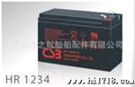C HR1234W 12V 34W 9AH UPS电池 蓄电池