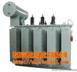 S9-5000/10-22KV油浸式电力变压器