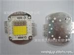 集成水族灯白蓝光源 30W 大功率集成白蓝配比 普瑞  低光衰