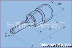 HG 汇鸿电器厂 供应针形预缘端头 PTV型