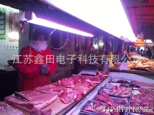 供应工厂新制肉摊 海鲜料理店 生鲜食品卖场用T9 冷鲜肉灯管