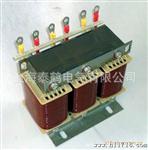 低压滤波用电器 上海品牌厂家供应LKSG滤波电器