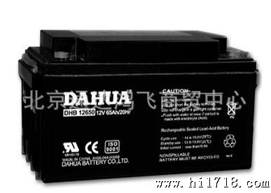 DAHUA蓄电池DHB121000(北京)办事处