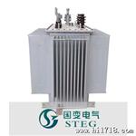 S9-250/10變壓器，三相油浸式变压器 电力变压器