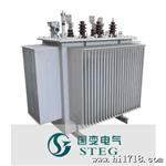 S9-250/10變壓器，三相油浸式变压器 电力变压器