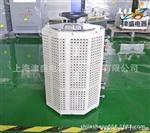 供应批发 TSGC2J-15KVA 科学实验手动调压器