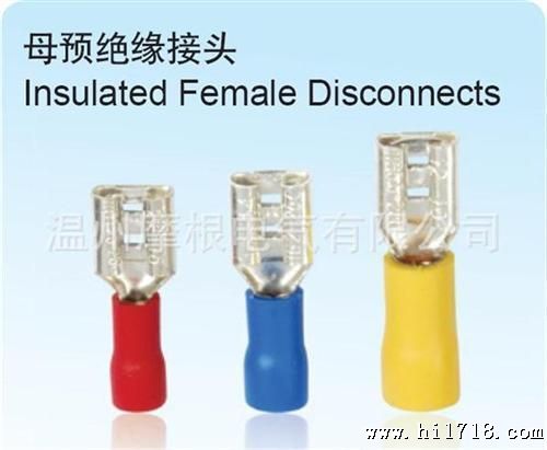 生产母预缘接头 端头 端子  批发  外贸 FDD