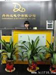 绕线铁氧体电感SDWL4532FD270KTF贴片电感1812 27UH 顺络Sunlord