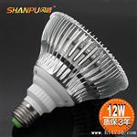 LED室内照明灯具12W射灯 LED帕灯 PAR38  深圳恒大光电