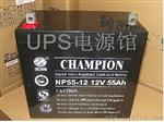 蓄电池NP100-12免维护