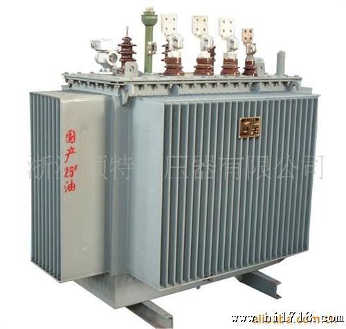 供应油浸式电力变压器S11-250KW        顺特