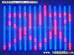 LED数码管(图)