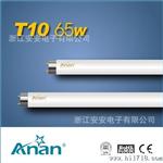 T10 40W 荧光灯管