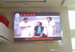 东莞室外伪彩LED显示屏就是杨子