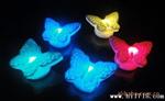 七彩小夜灯 LED礼品灯 七彩蝴蝶小夜灯 新奇特产品