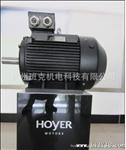 霍尔  船用IE2 Y2E2 90L-2 2.5KW铸铁电机 HOYER