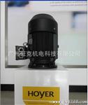 霍尔  船用IE2 Y2E2 90L-2 2.5KW铸铁电机 HOYER