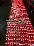 LED像素灯 全彩点光源 全彩跑马灯(5cm) 【质保三年】