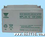 汤浅蓄电池NPL100AH-12V