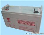 汤浅蓄电池NPL100AH-12V