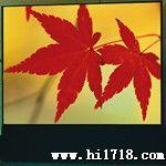 高清  炫丽全彩LED显示屏