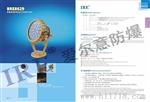 LED爆免维护投光灯/泛光灯BRE8629(30W-80W)
