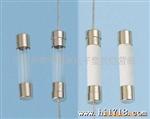 玻璃管保险丝(高电压－大电流)