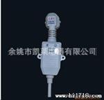 供应中国二芯漏电保护电源插头/CCC漏电保护插头