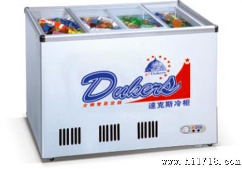  单温达克斯透明冷柜WD/WG-171小型冰柜 市冰柜