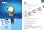 LED爆免维护投光灯/泛光灯BRE8679(30W-80W)