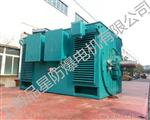 Y500-4 900KW 6.3KV水泵电机