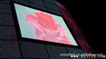 供应LED广告屏|大型LED墙幕屏