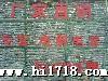 常州金岳电子 厂家生产销售HUANG牌电解电容 16V330UF  6*12