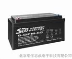 6-GFM-100雄霸蓄电池12V100AH