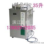 立式快速蒸汽器 器 高压锅 LS-B35L（）