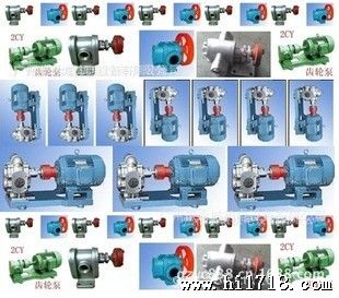 广东广州供应KCB-B960大流量不锈钢齿轮泵 不锈钢齿轮油泵