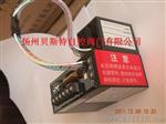 KOSO-CPA100-220功率控制模块，CPA100-220控制器，模块厂家