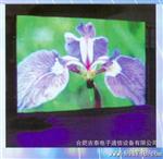 供应优质安徽全彩LED显示屏（晒，雷） 尺寸可定制