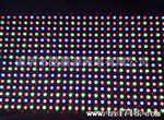 户外 LED p10全彩模组