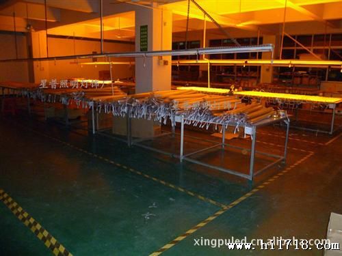 新供应亮LED食人鱼护栏管、数码管  工程  广东星普