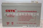 CSTK 12V12AH ups铅酸免维护蓄电池  山特UPS蓄电池