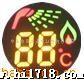 led display 彩屏兰色DVD数码管