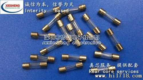 无引脚玻璃保险丝5A250V