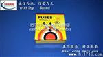 无引脚玻璃保险丝5A250V