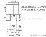 TR5-382塑封电流保险丝，胶壳保险管，T2.5A250V-MICRO FUSE