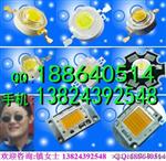 led封装厂,1W大功率led,高亮led,集成led,深圳led,led封装厂家