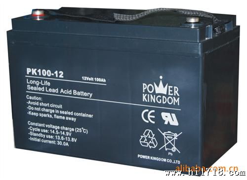 POWERKINGDOM-12V100AH免维护铅酸蓄电池