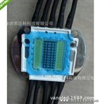 LED集成灯珠 100W 5路水族灯珠 生产 品质 高亮度低光衰