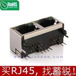 广州 东莞 深圳 RJ45连接器 rj45插座 10p8c母座 1x2接口 厂家