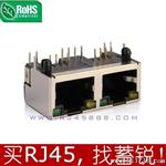 广州 东莞 深圳 RJ45连接器 rj45插座 10p8c母座 1x2接口 厂家